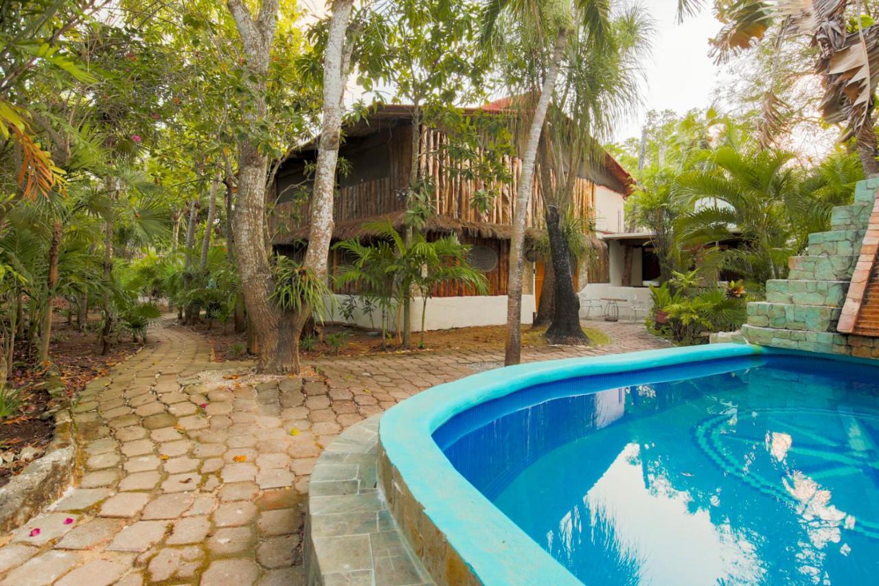 Apartamento Oma - Holistic Healing Center *