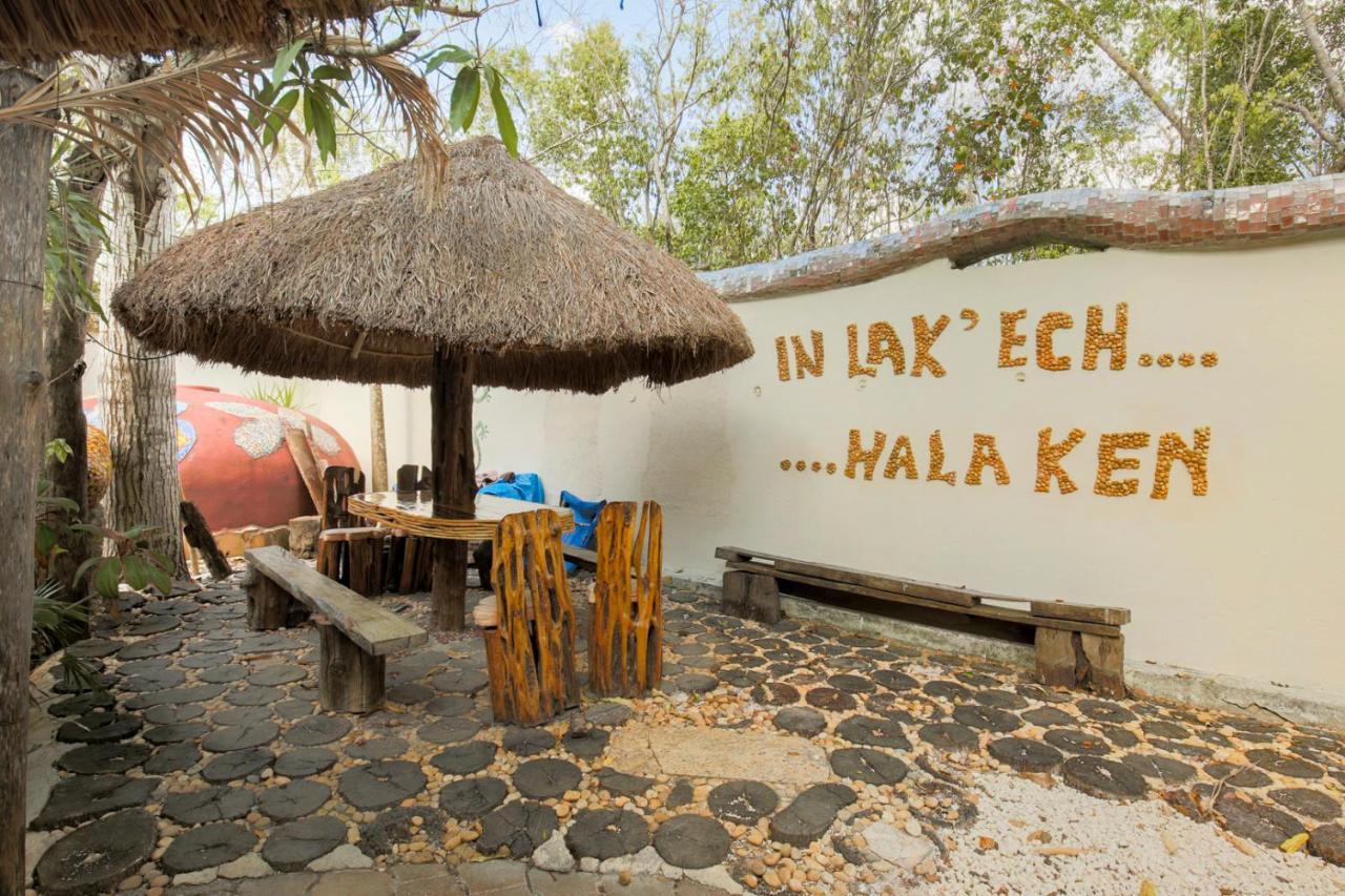 Apartamento Oma - Holistic Healing Center *