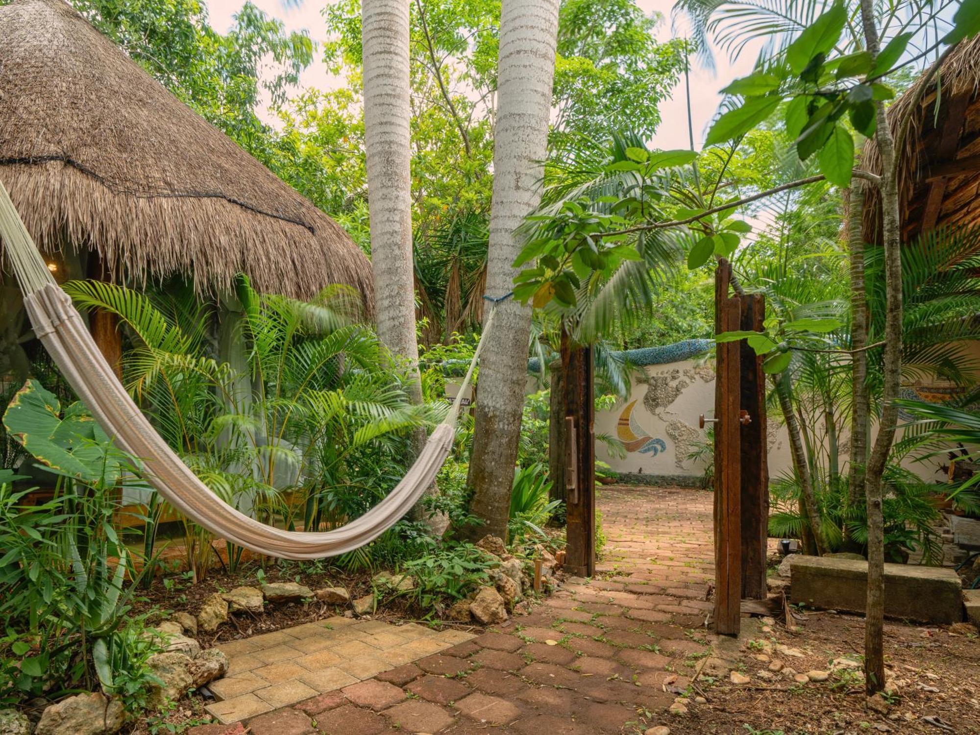 Apartamento Oma - Holistic Healing Center *