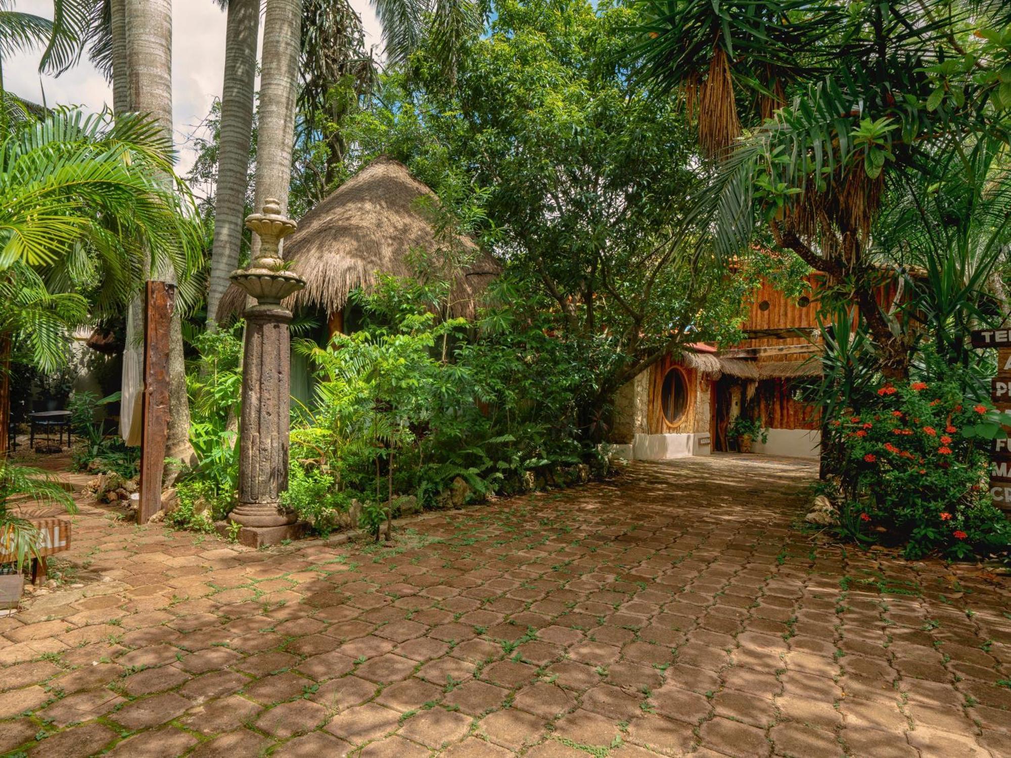 Oma - Holistic Healing Center * Cancún