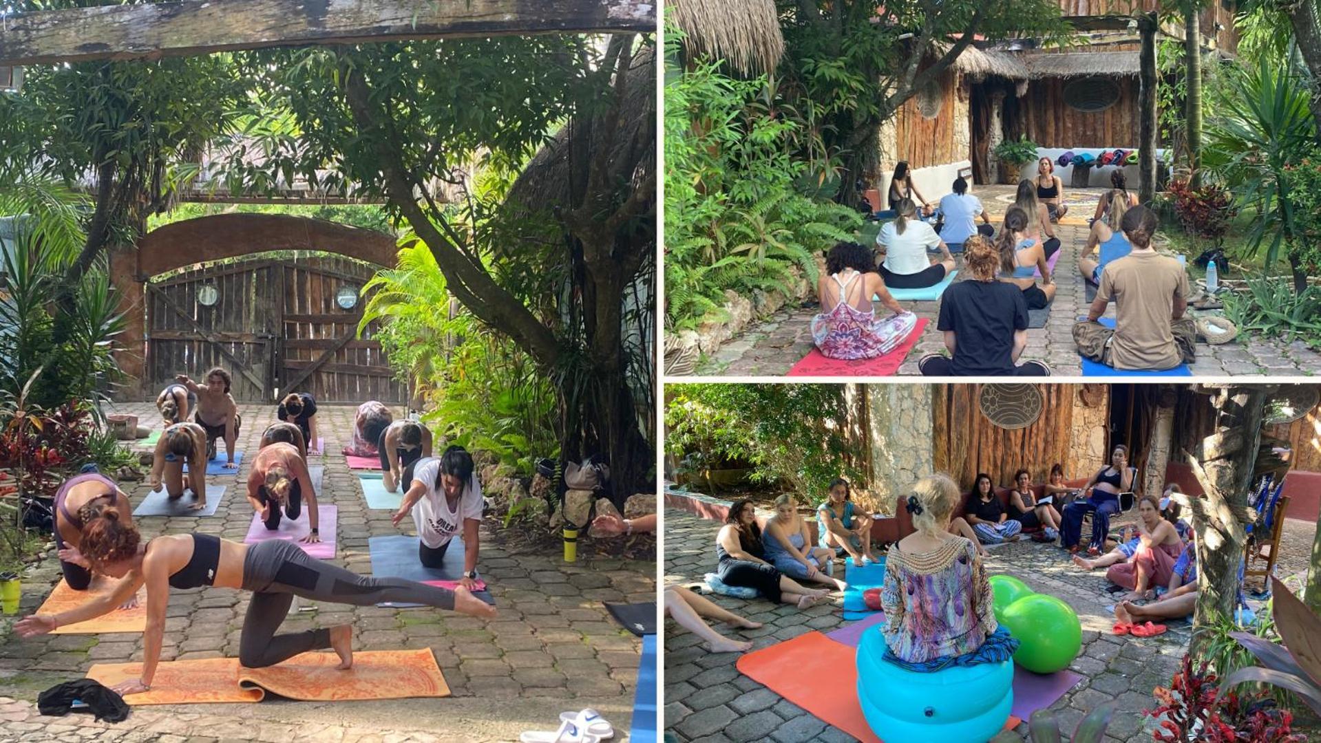 Apartamento Oma - Holistic Healing Center